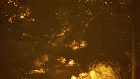 forest fire consumes trees and underbrush during a dry summer evening