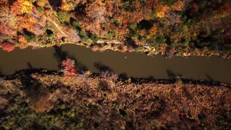 Drone,-top-down,-aerial-pan-from-left-to-right-over-the-top-of-the-Rivanna-River-and-surrounding-forest-displaying-bright,-vibrant-fall,-autumn-colors-in-the-trees-and-vegetation-in-Virginia,-USA