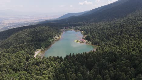 Lago-Natural-Entre-Bosque