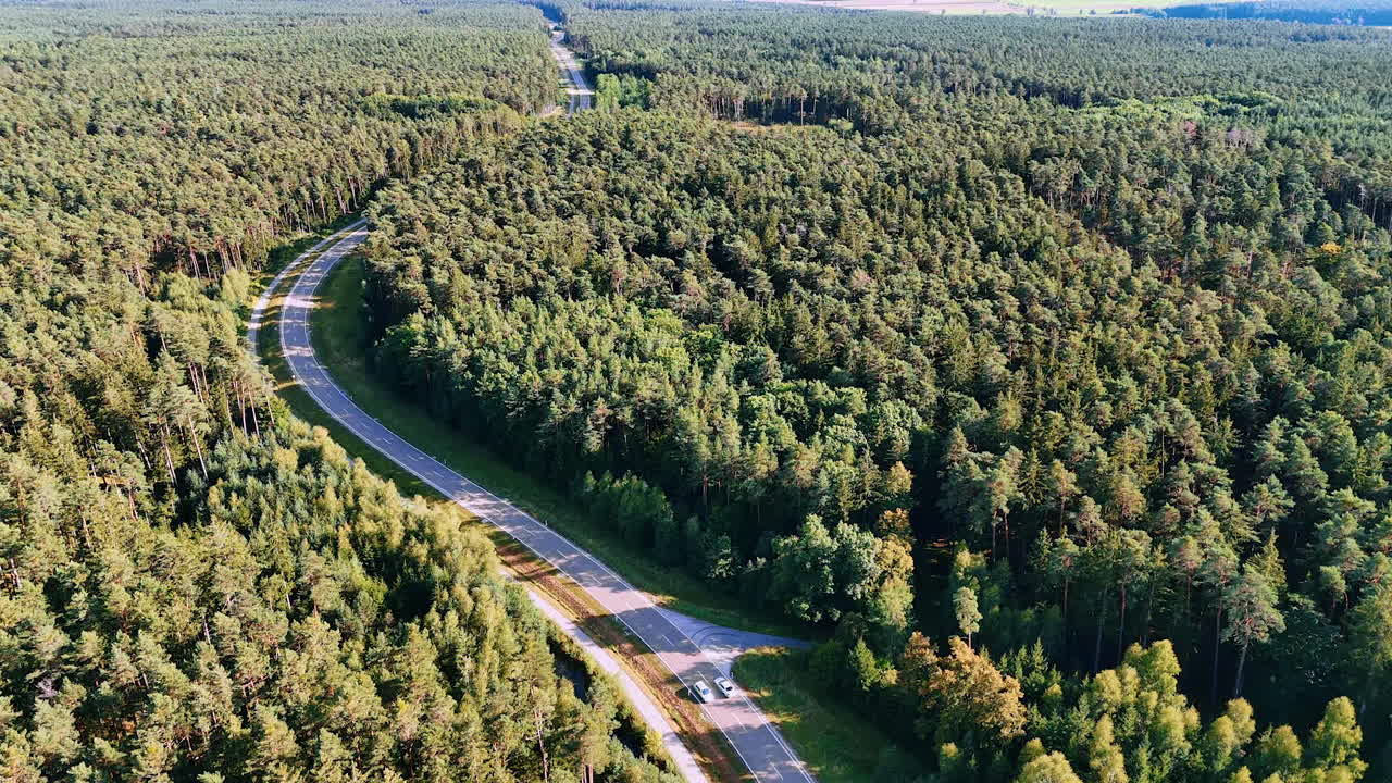 A curving asphalt road among endless pine plantations. A winding highway, laid through a thick, green coniferous forest, photographed from the air