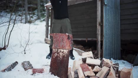 person chopping wood logs outdoor during winter