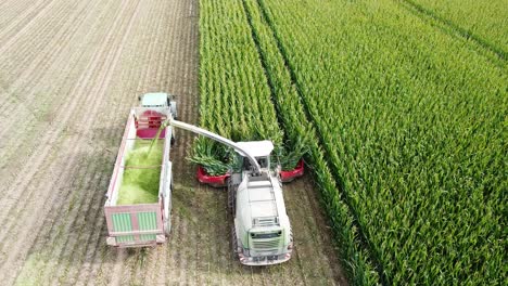 Cornfield-being-harvested-by-Machine