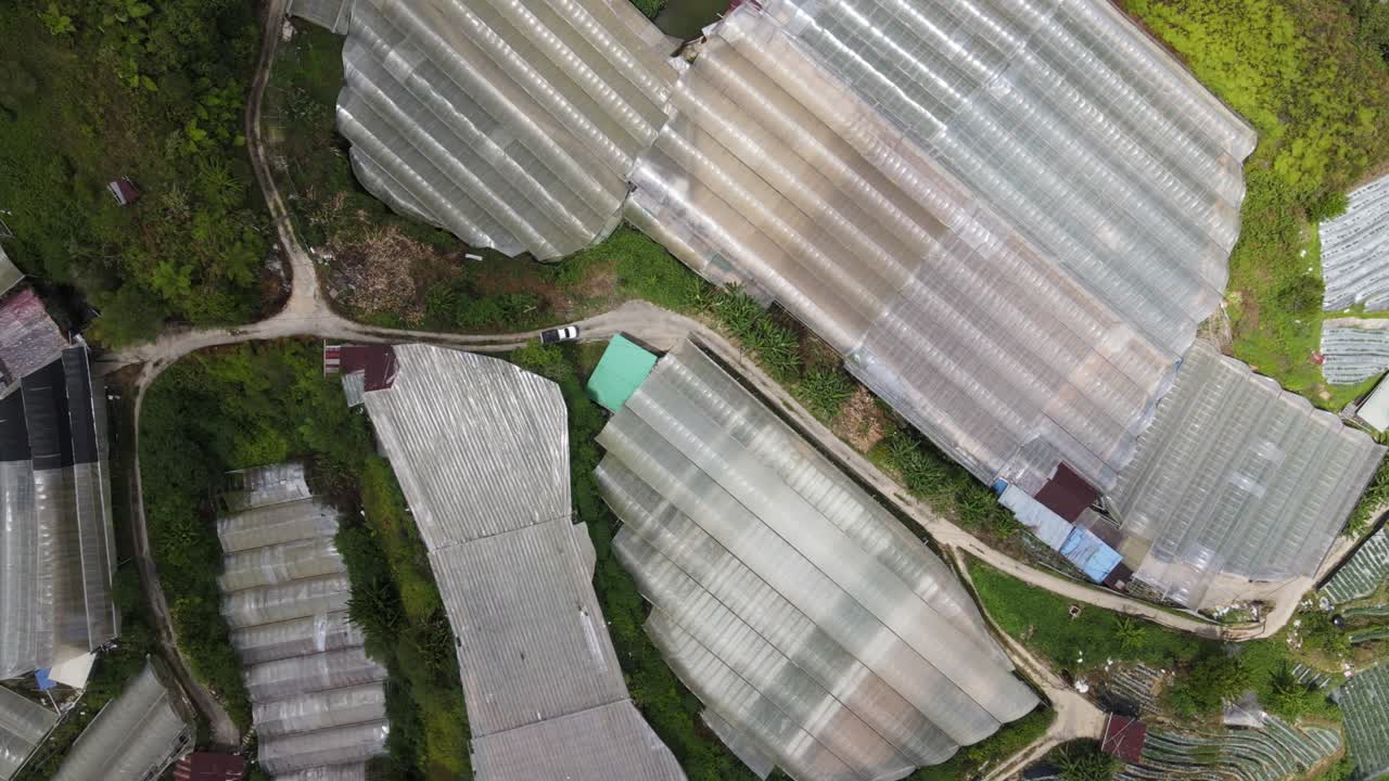 말레이시아의 카메론 하이랜드 지역 내의 브린창 지역의 일반 풍경