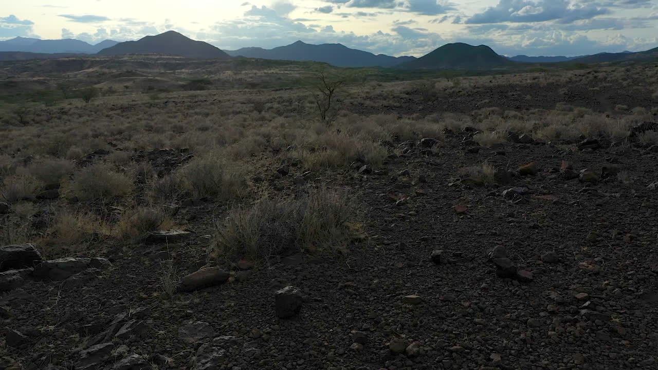 desierto de kenia, paisaje de áfrica revelación de un solo árbol solitario