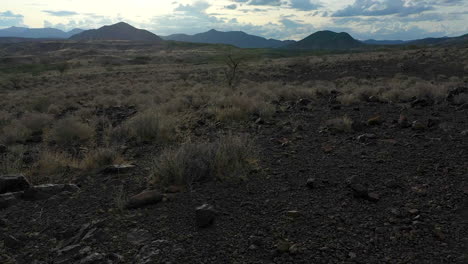 desert kenya, africa landscape reveal of lone single tree