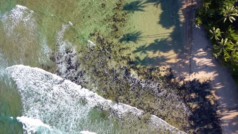 Aerial-top-down-view-over-clear,-ocean-water-foaming-at-the-shore-and-washing-the-golden-sand-of-the-beach,-palms-shadows-and-bright-sun,-gorgeous-tropical-nature-of-Hawaii,-Kauai,-Waikoko-beach