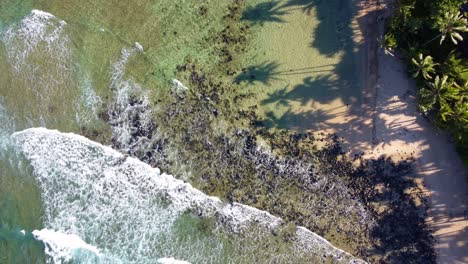 vista aérea de arriba hacia abajo sobre el agua clara del océano que espuma en la orilla y lava la arena dorada de la playa, sombras de palmeras y sol brillante, magnífica naturaleza tropical de hawai, kauai, playa de waikoko
