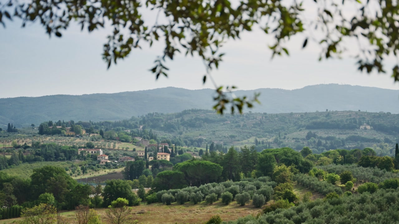 Rack focus shot from tree leaves and branches to Tuscany landscape of nature and small villages in Italy during spring or summer. Beautiful peaceful scenery. Olive trees and wine vinyards background