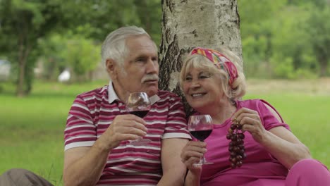 Family-weekend-picnic-in-park.-Senior-old-couple-sit-near-tree,-eating-fruits,-drinking-wine