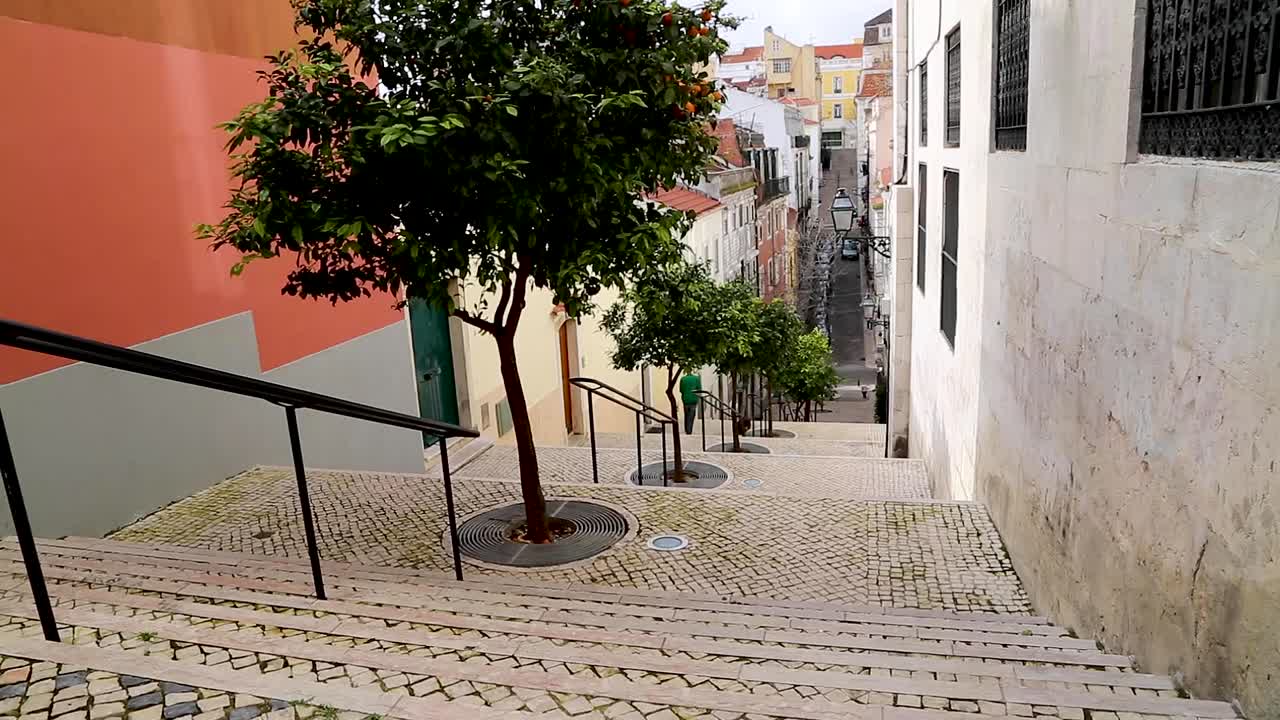 Laranjeiras em escadarias de rua no centro de Lisboa, Portugal