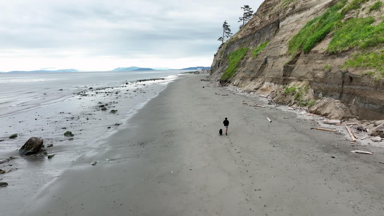 위드비 섬의 모래사장에서 조깅하는 사람과 개의 공중 전망