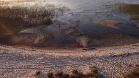 isolated person walking on lake shore at sunset, laguna negra in uruguay