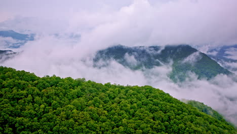 aerial drone shot of the smokies hidden under a blanket of mist