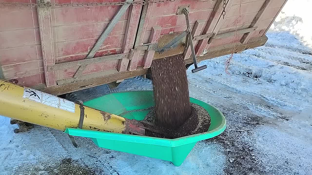 Scarico di canola in una coclea in inverno