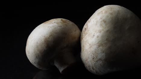 two mushrooms