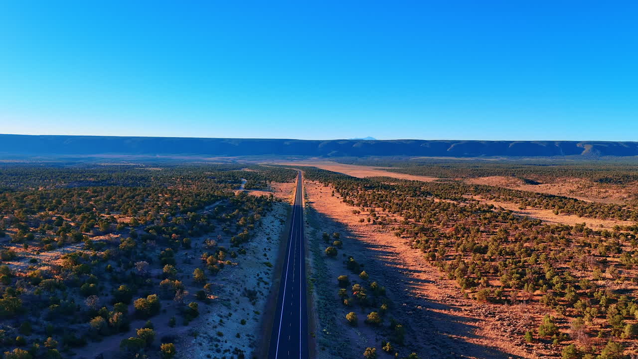 Endless Desert Highway Toward the Grand Canyon. A long straight highway cuts through sunlit desert forest near the Grand Canyon