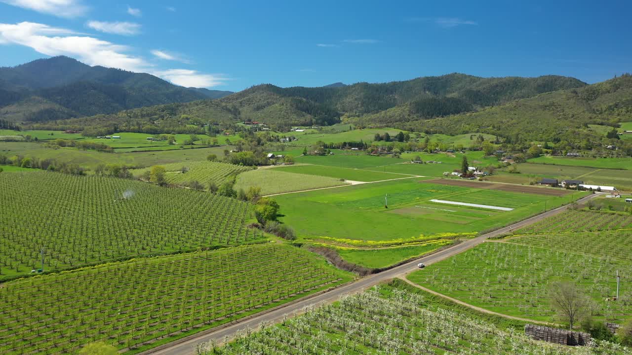 오레곤 남부 과일 과수원으로 가득 찬 계곡의 조감도
