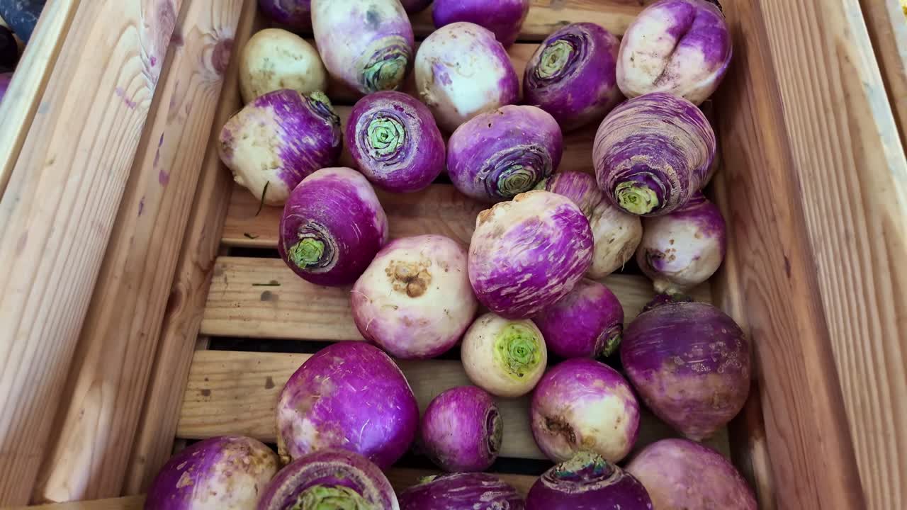 Close-up shot moving toward a wooden crate filled with purple and white turnips. Natural light highlights their texture and color