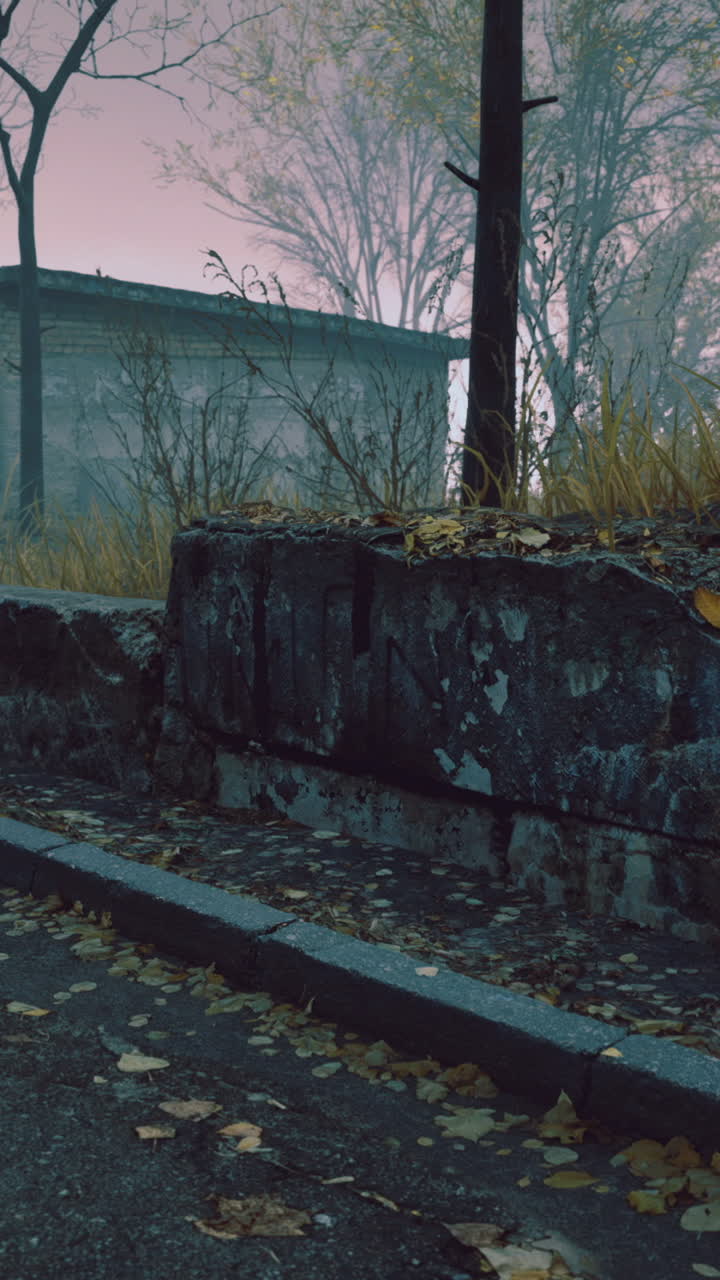 Mysterious deserted pathway surrounded by aged trees at twilight