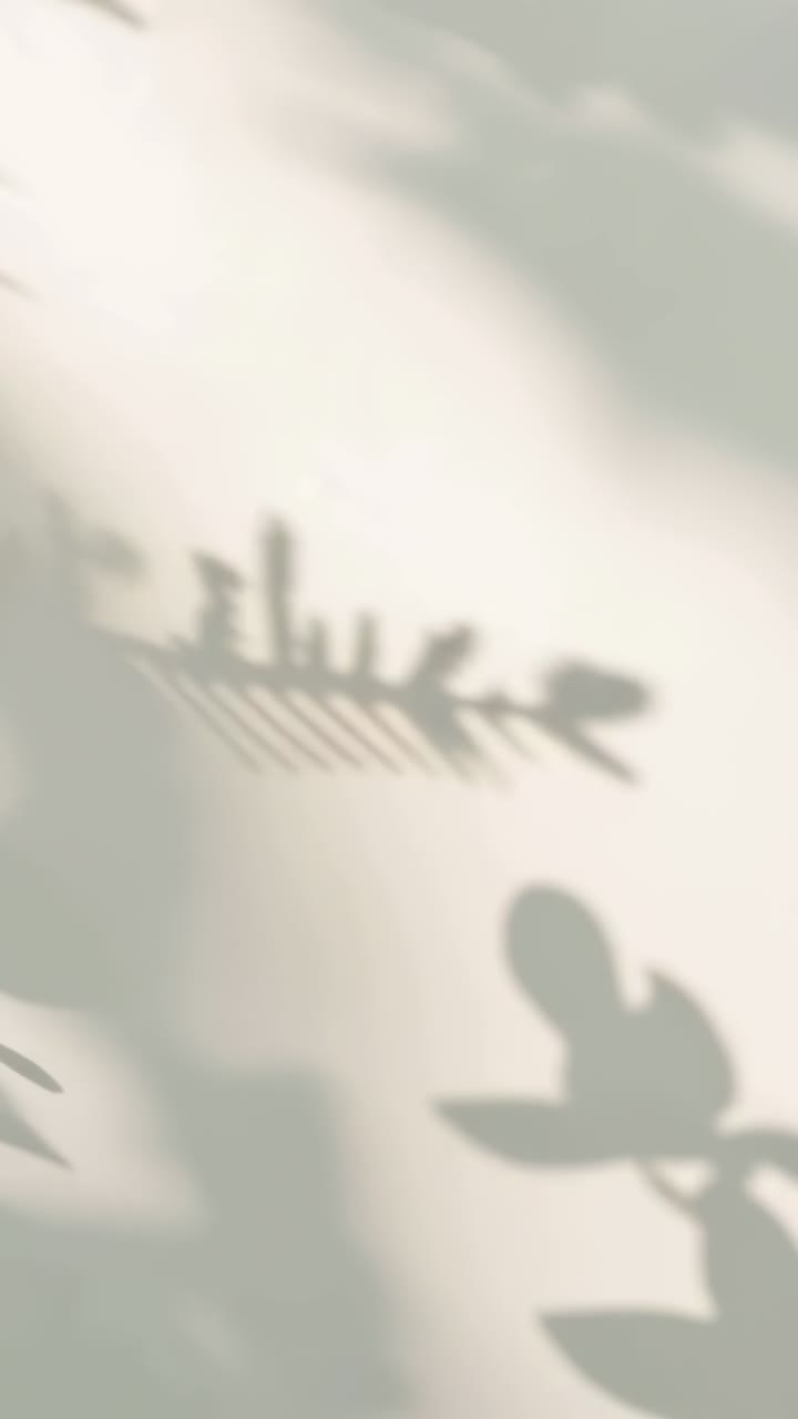 Vertical video: Moving plant shadows sliding on pale wall as sun through leaves makes soft patterns
