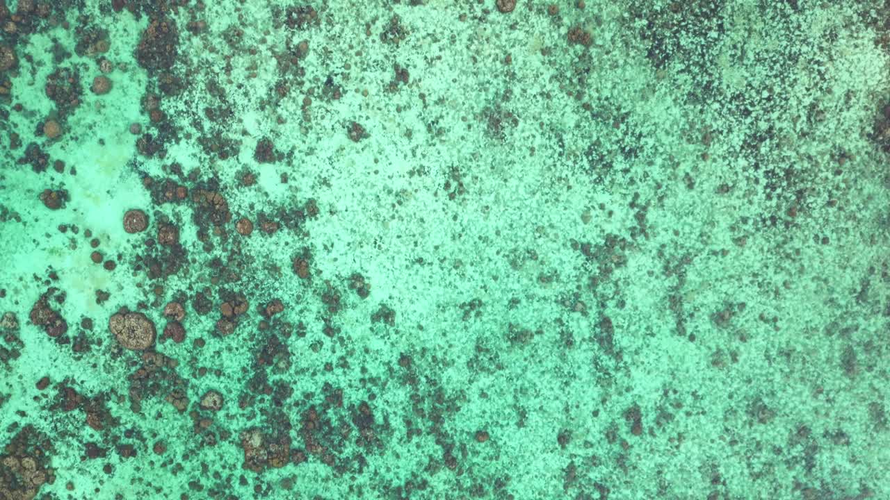 색 모래 위 를 고 있는 관광객 들 이 있는 열대 섬 해변