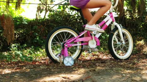 girl riding a bicycle in park