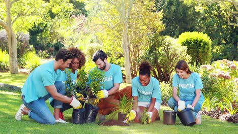 Gruppe-Von-Freiwilligen,-Die-Im-Park-Pflanzen