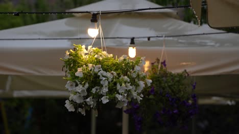 flowers and umbrella, lit by lamps: beautiful event decoration, garden backdrop in the backyard setting