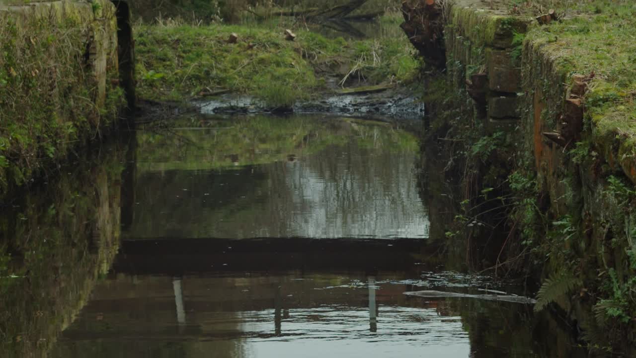 숲과 견인길을 연결하는 강을 가로지르는 보행자 다리