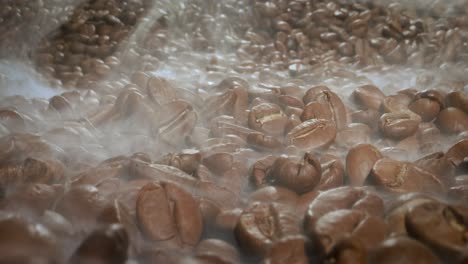 close up of seeds of coffee. fragrant coffee beans are roasted smoke comes from coffee beans.