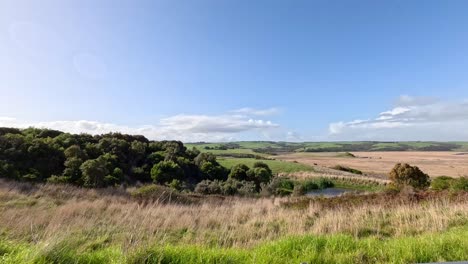 panoramic landscape of fields and trees