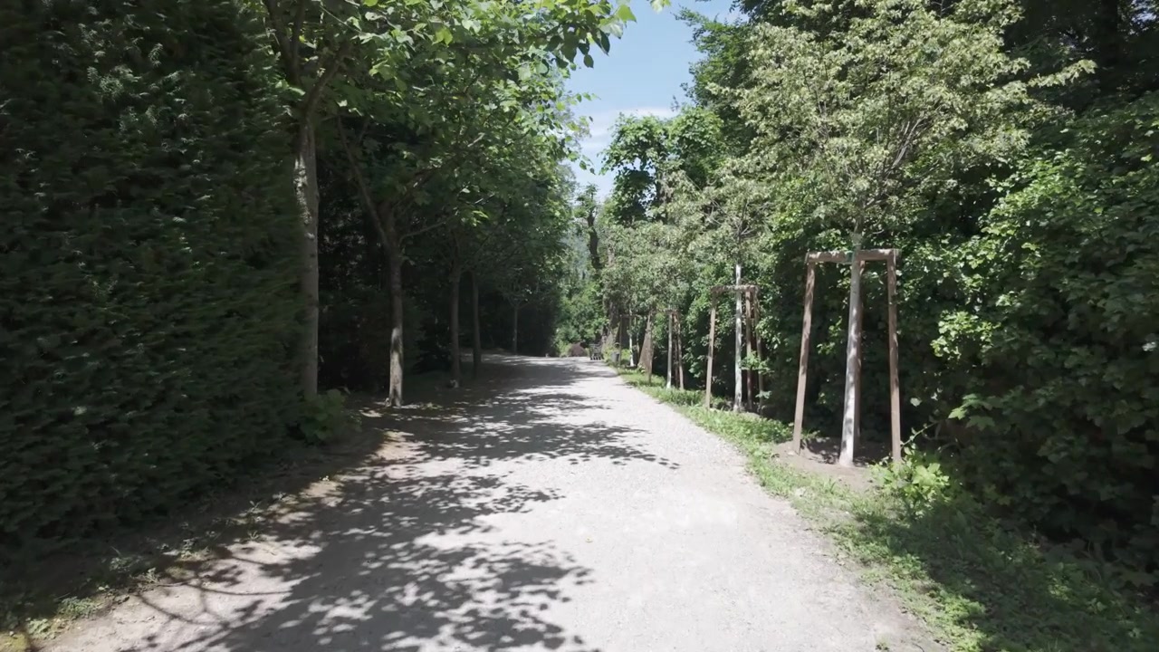 Ripresa video 4K di un sentiero pedonale circondato da alberi negli ampi giardini di un palazzo in Austria, Europa