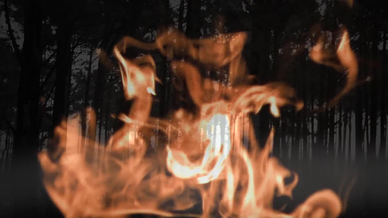 숲의 나무 위에 불꽃의 애니메이션