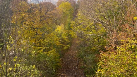 Golden-leaves-by-train-tracks-through-autumnal-woods-in-Sweden,-hint-of-chill-in-the-air