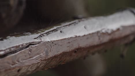 Rain-Falling-On-Wooden-Beam,-Barn,-Farm-Close-Up