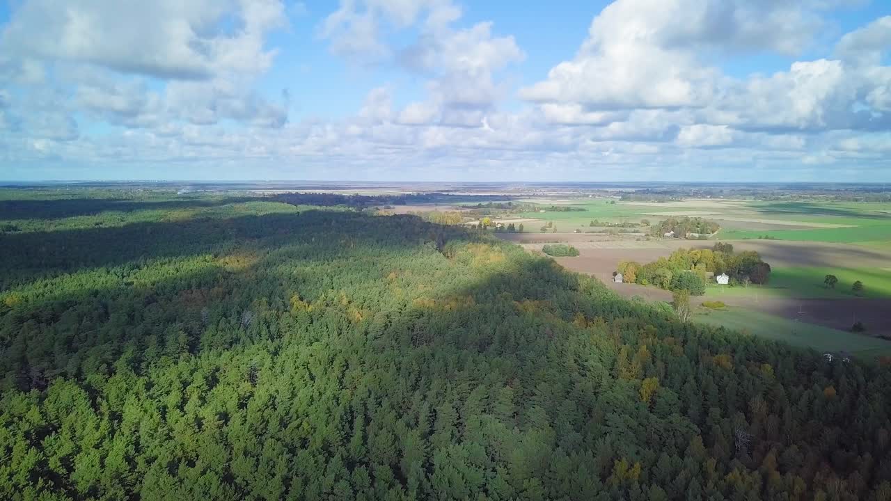 숲의 초가을, 공중 평면도, 혼합 숲, 녹색 침엽수, 노란 잎이 있는 낙엽수, 가을 색 삼림 지대, 북유럽 숲 풍경, 앞으로 나아가는 광각 설정 샷