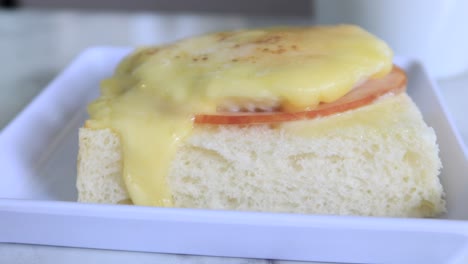 delicious melted cheese sandwich with ham and tomato