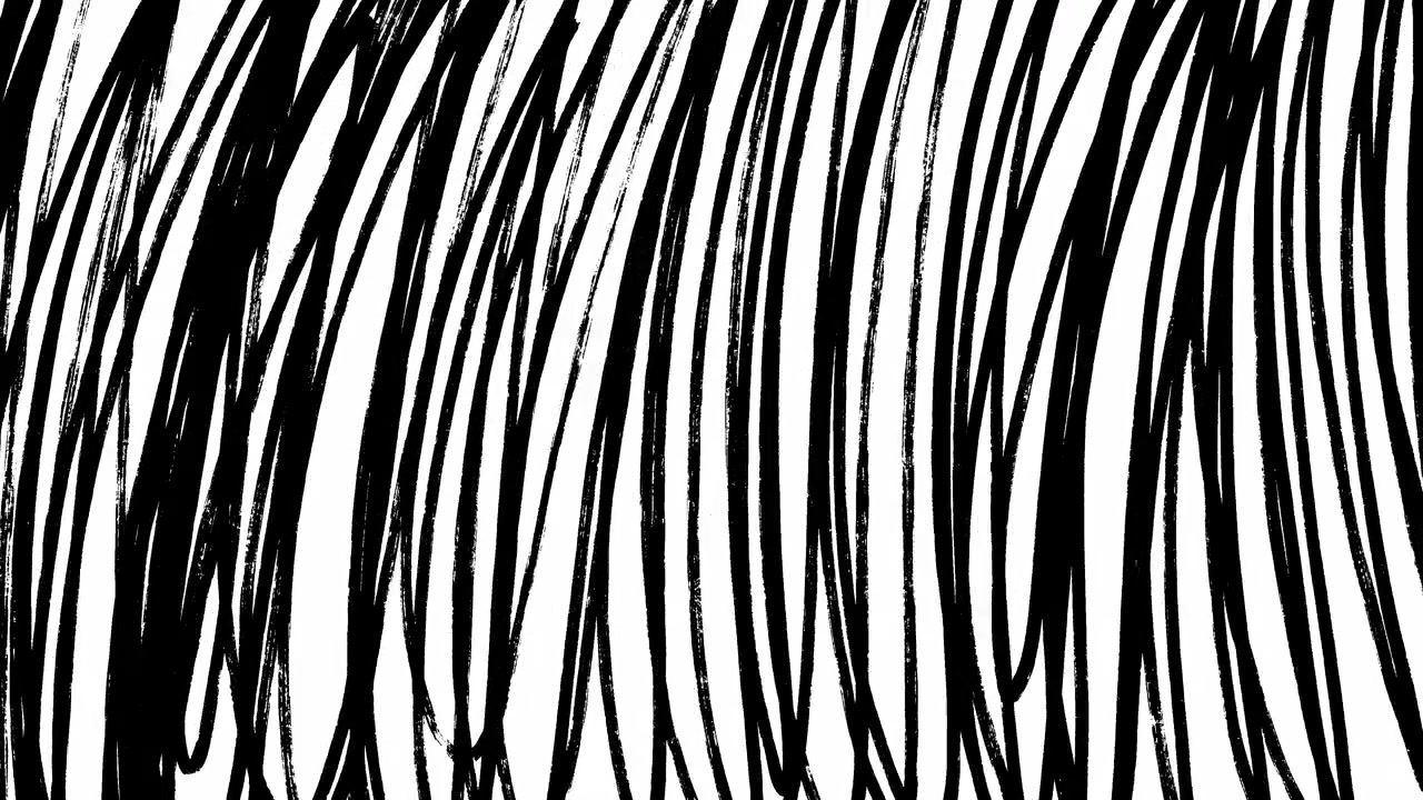 Animazione dinamica di linee nere scarabocchiate su sfondo bianco.