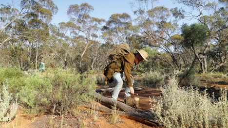 an australian swagman packs up camp and carries his swag over his shoulder in the outback