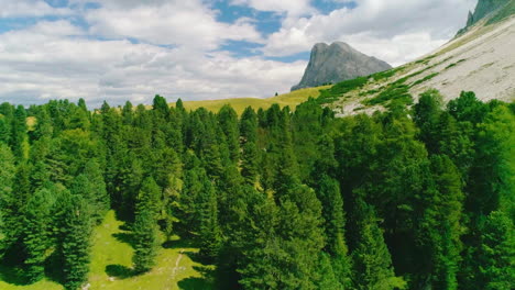 idyllic lush green alpine forest trees aerial flyover view south tyrol plose peitlerkofel bottom of mountain slope