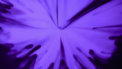 flower shaped purple abstract fluid expanding into space