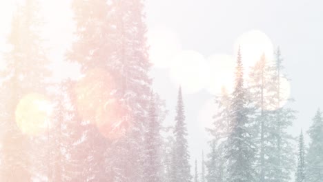 Animation-of-winter-scenery-landscape-with-light-spots-mountains-and-fir-trees-covered-in-snow