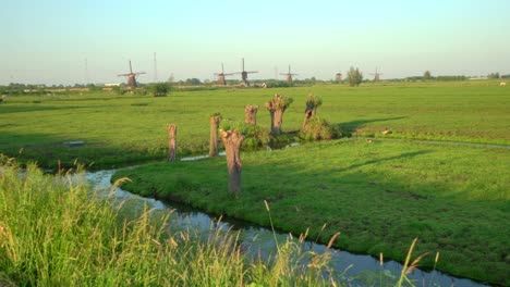 Holländische-Landschaft-Mit-Beschnittenen-Kopfweiden-Und-Windmühlen-An-Einem-Sommertag