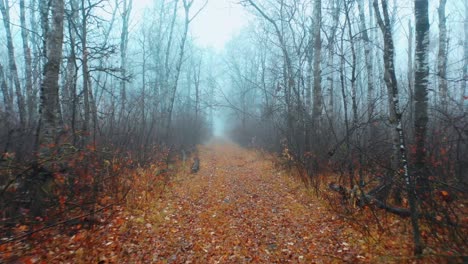 Slow-shot-down-a-misty-trail-with-autumn-leaves-on-the-ground