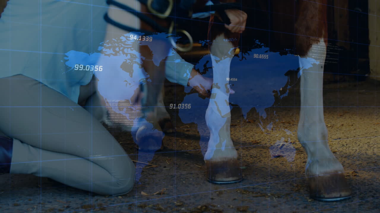 Woman kneeling cleaning horse hoof in stable, showing animated world map with tech data overlays