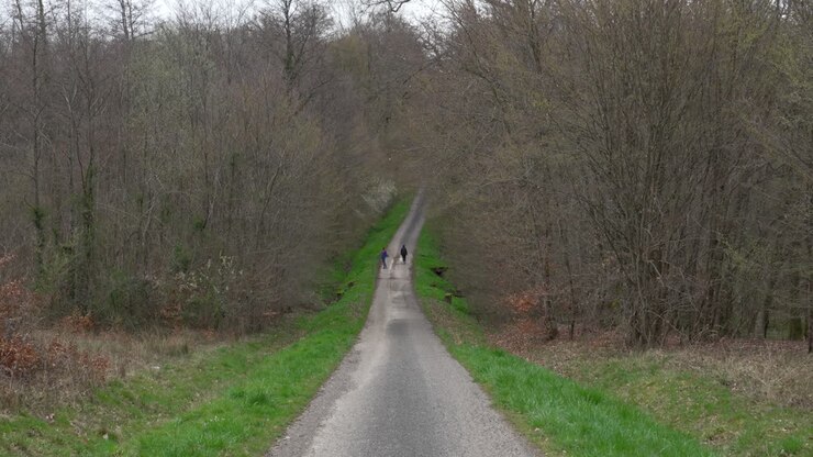 Couple walks along asphalt sidewalk road scouting in forest to gather fresh greens