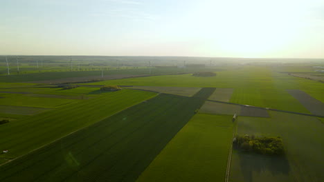 Stunning-aerial-view-of-wind-turbines-on-the-green-agricultural-flat-fields-at-sunset-in-Puck-Poland