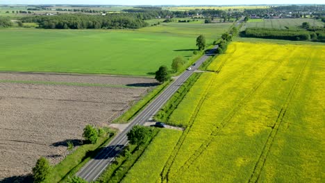 Camino-Entre-Tierras-De-Cultivo-Con-Automóviles-Circulando-Por-él,-Campo-De-Colza-Y-árboles-Al-Fondo