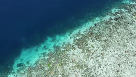 Birds-eye-aerial-view-of-shimmering-crystal-clear-water-transitioning-into-deep-blue-ocean-with-coral-reefs-in-Raja-Ampat,-West-Papua,-Indonesia