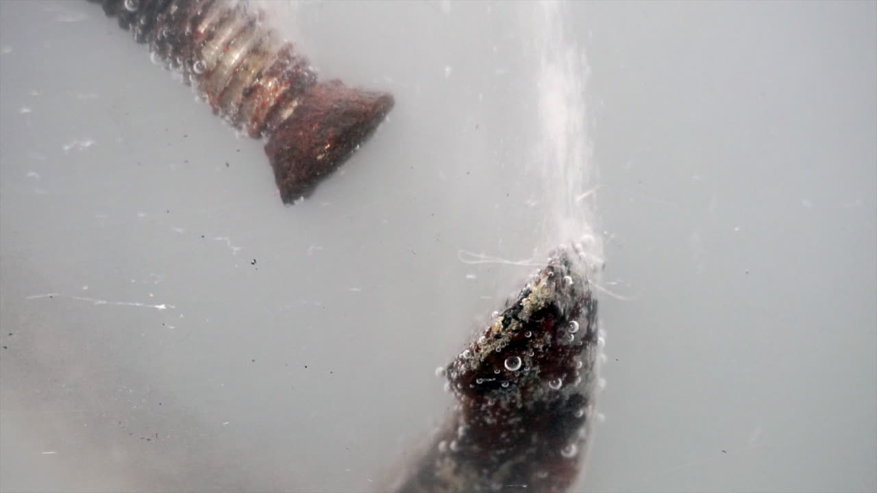 Bubbles form on rusty c-clamp parts when electrolytic cleaning starts